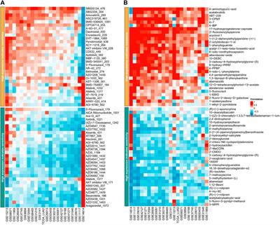 Gene set variation analysis-based aging and senescence score as a prognostic indicator and therapeutic guide in lung adenocarcinoma